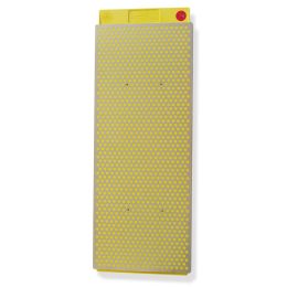 DMT 10 In. Duosharp BenchStone W250EFNB Extra Fine-Fine