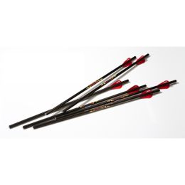 Excalibur Diablo 18in. Carbon Arrows (for Matrix) 6pk